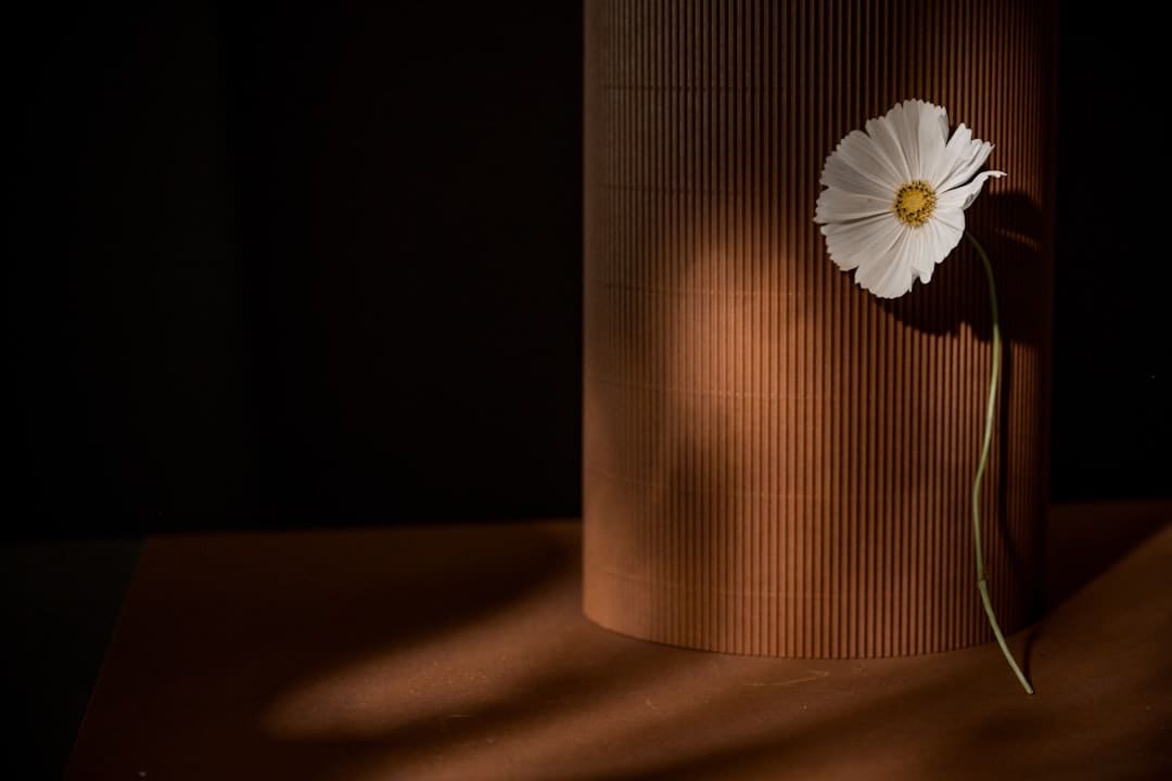 http://www.meijieyizhan.com/upload/images/20220601/62970cb491dd83458.png
